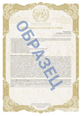 Образец Приложение к СТО 01.064.00220722.2-2020 Палласовка Сертификат СТО 01.064.00220722.2-2020 